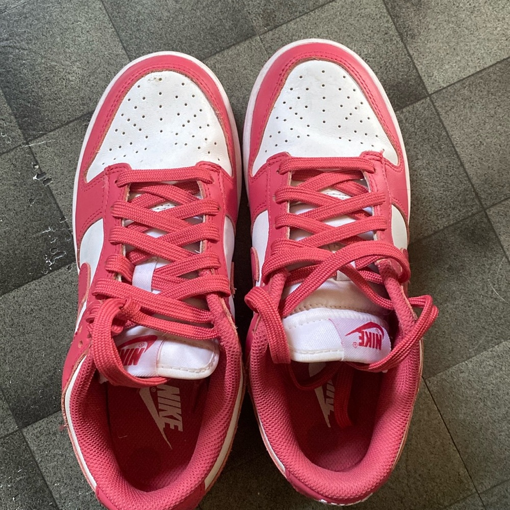 Nike Dunks - image 1